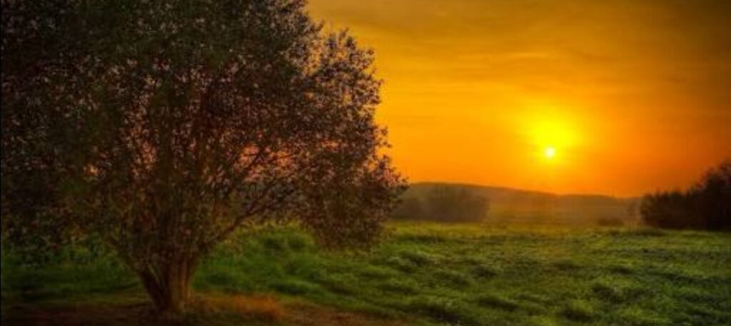 தினம் பத்து (01/08/2020) கவிஞர் மா கணேஷ் Tamil Deepam dinam pathu tamil deepam 2