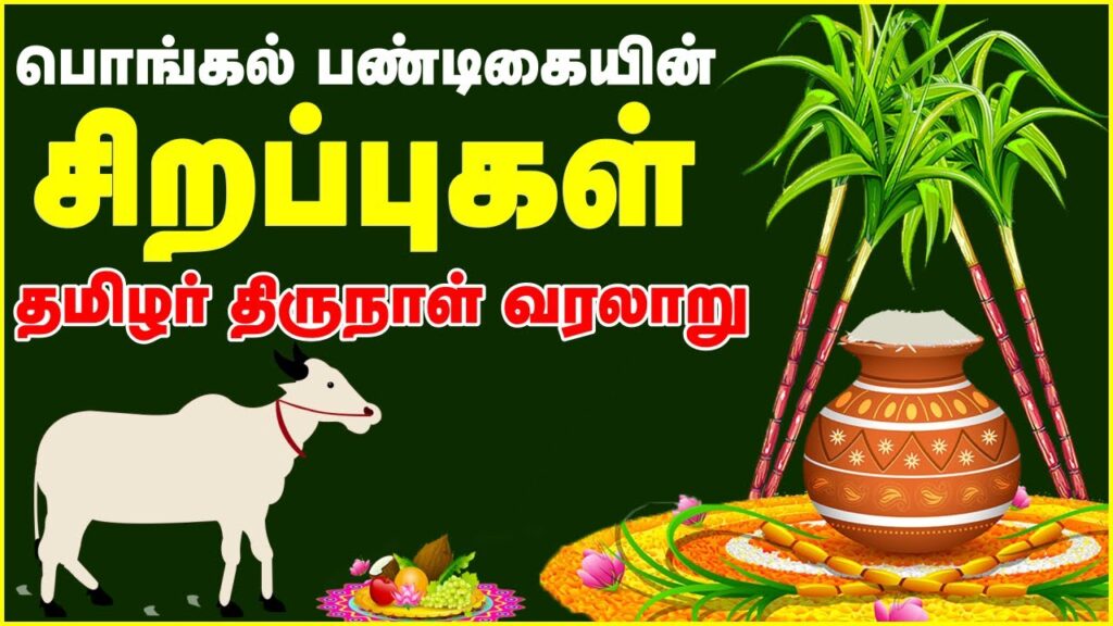 தை பொங்கல் tamildeepaaaam